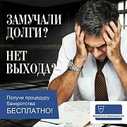 Юридическая помощь. Банкротство в рассрочку списание долгов