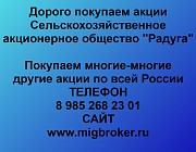 Покупаем акции «СХАО Радуга»: выгодное предложение!